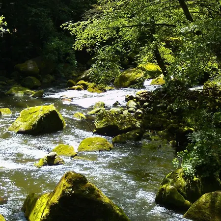 Nyaraló In Badem